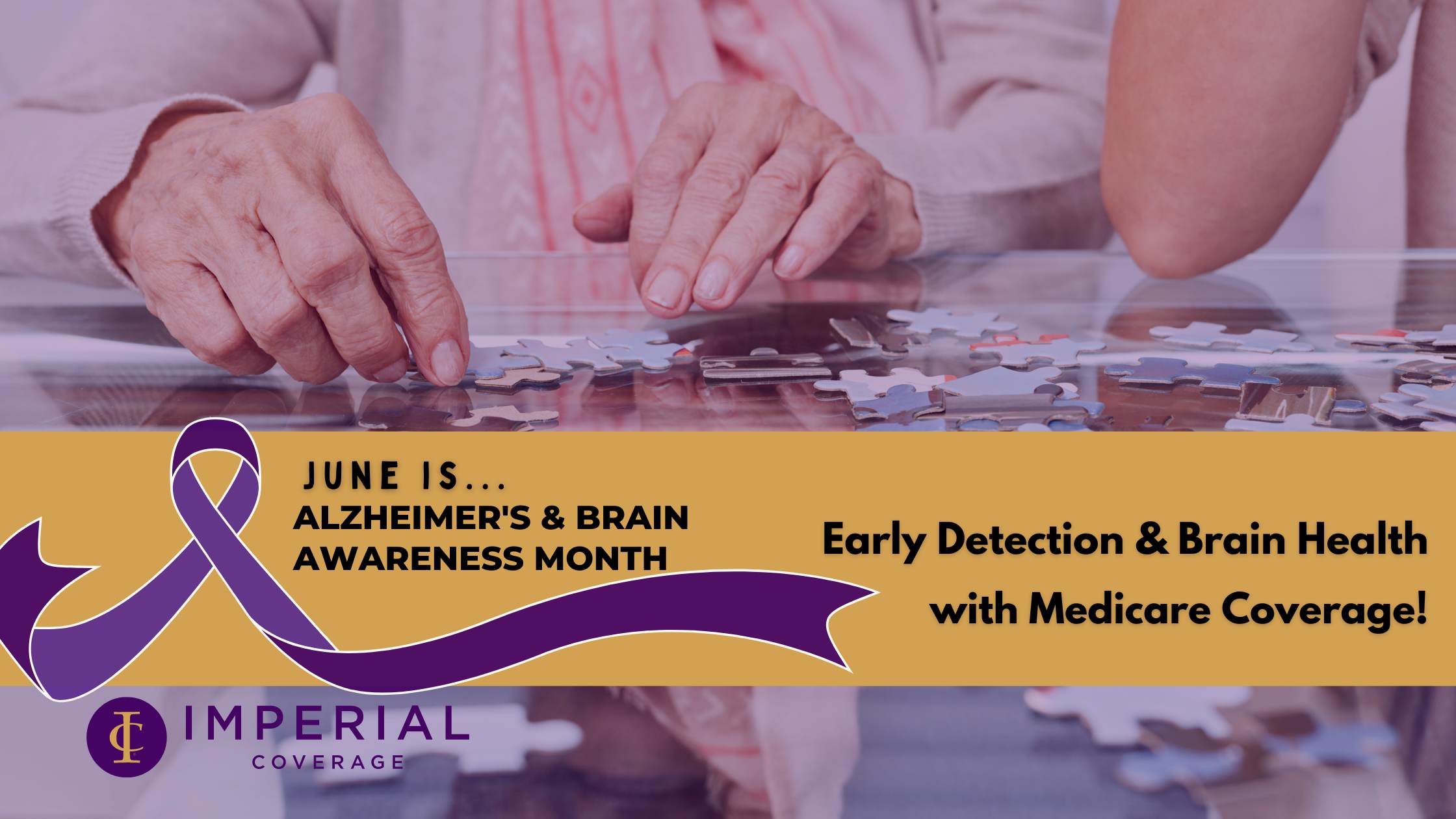 Alzheimer’s & Brain Awareness